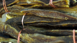 Netuším, suchý kus nějakého zvířete, asi prasete?