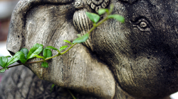 Poslední chrám v Chiang Mai