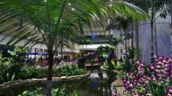 Letiště Singapur / Singapore Airport