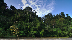 Bukit Lawang