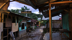 Bukit Lawang