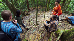 Pralesní sváča / Jungle Snack