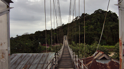 Bukit Lawang