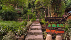 Bukit Lawang