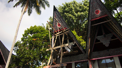 Čtvrtku toho domku jsme obývali / Quarter of this house was occupied by us