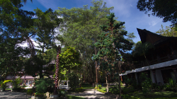 Ostrov Samosir / Samosir Island