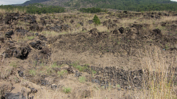 Balijská krajina / Balinese landscape