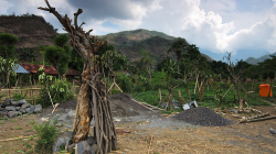 Balijský venkov / Balinese countryside