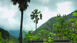 Čistá voda vesničanům/ Clean waterfor villagers