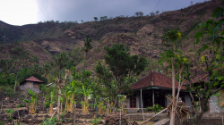 Balijský venkov / Balinese countryside