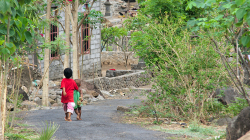 Balijský venkov / Balinese countryside