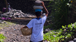 Balijský venkov / Balinese countryside