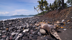 Surataya, pláž s černým lávovým pískem / Surataya - black sand beach