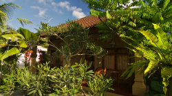 Secret garden, pokoj za 200,- / Secret garden accomodation, room for 100.000 idr