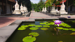 Budhistický chrám / Budhistic temple
