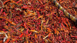 Někdo to rád horké / Someone like it hot