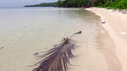 Opuštěná pláž / Abandoned beach