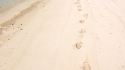 Byl jsem tam první! / I was first there!