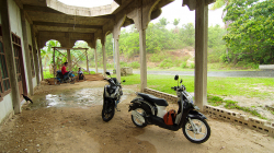 Slepice vstupuje do mešity / Chicken entering the mosque
