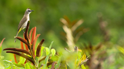 Pojmenuje někdo? / Name anyone?