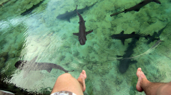 Moc se mi tam nechtělo / I was\'t so hurry to get in there