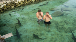 Když je neuvidím, nic mi neudělají / They won\'t hurt me, unless I can\'t see them