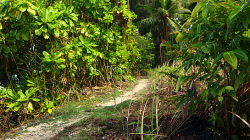 Tudy projdeme, ne? / This way we can go through, right?