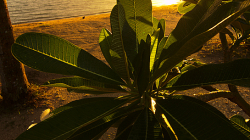 Západ slunce / Sunset