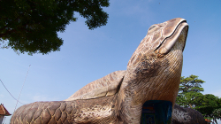 Jepara - Mořský svět / Jepara Sea world