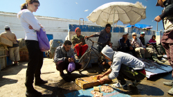 Rybí trh / Fish market