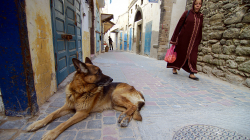Náhodné setkání / Casualy meeting