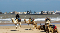 Na pláži / On the beach