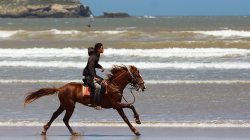 Na pláži / On the beach