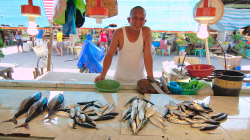 Prodavač ryb / Fish seller