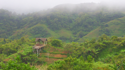 Horské panorama / Mountain panorama