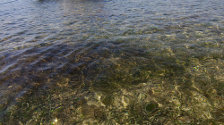 Ostrov Cabilao / Cabilao island