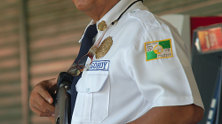 Typická ochranka s brokovnicí / Typical security with shotgun