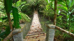 Cesta pryč / Way out of here