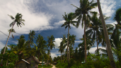 Cesta pryč / Way out of here