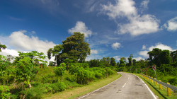 Cesta pryč / Way out of here