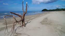 U Sipalay / By Sipalay