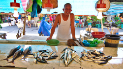 Na trhu / On the market