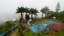 Po ránu / In the morning