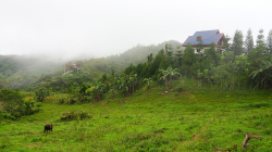 Po ránu / In the morning