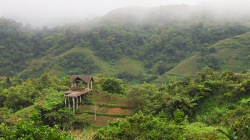 Po ránu / In the morning