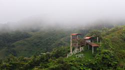 Po ránu / In the morning