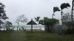 Tajfun Haiyan / Haiyan typhoon