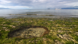 Je po dešti / Rain is over