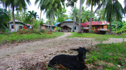 Ostrov Cabilao / Cabilao Island