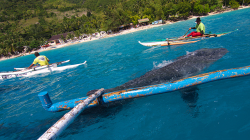 It's more fun in the Philippines